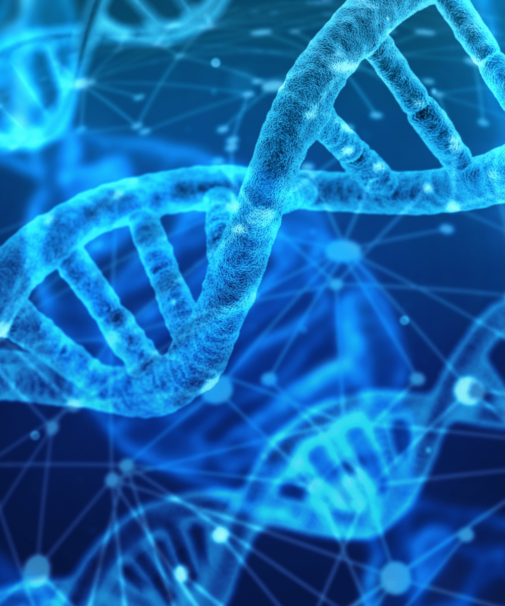 Untitled design - 11